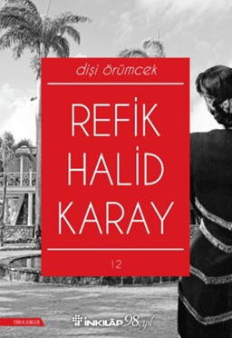 Dişi Örümcek