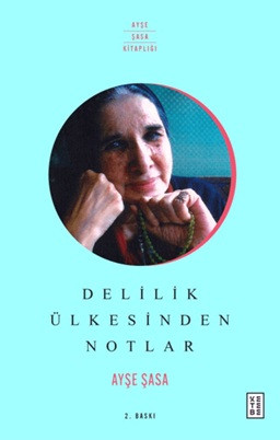 Delilik Ülkesinden Notlar