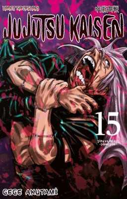 Jujutsu Kaisen 15. Cilt