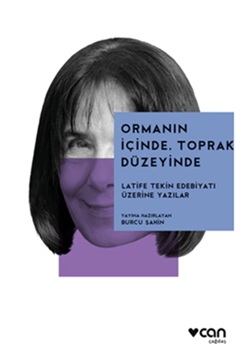 Ormanın İçinde, Toprak Düzeyinde