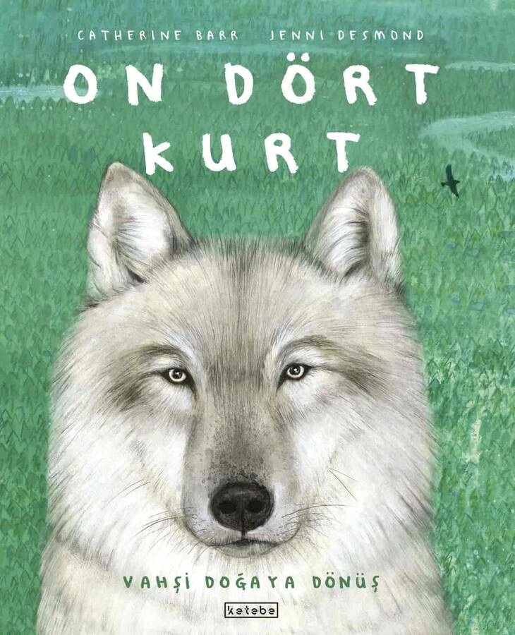 On Dört Kurt (Ciltli)