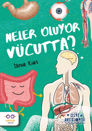 Neler Oluyor Vücutta? – Cezve Ansiklopedi