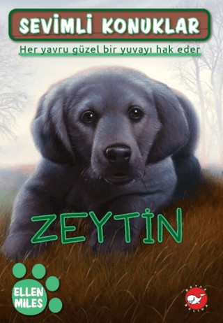Sevimli Konuklar 3 - Zeytin