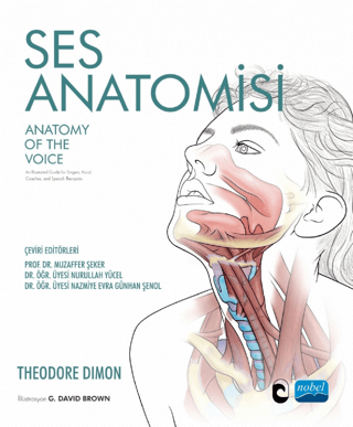 Ses Anatomisi