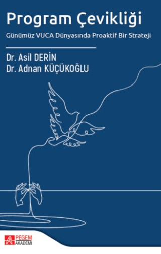 Program Çevikliği