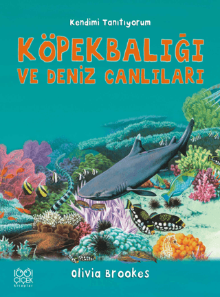Köpek Balığı ve Deniz Canlılarına Soralım