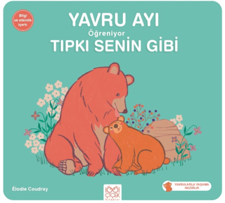 Yavru Ayı Öğreniyor Tıpkı Senin Gibi