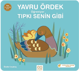 Yavru Ördek Öğreniyor Tıpkı Senin Gibi