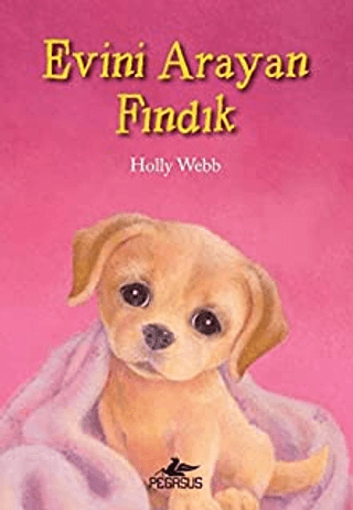Evini Arayan Fındık