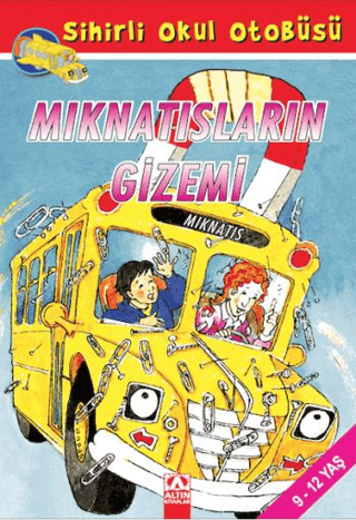 Mıknatısların Gizemi