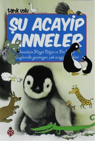 Şu Acayip Anneler