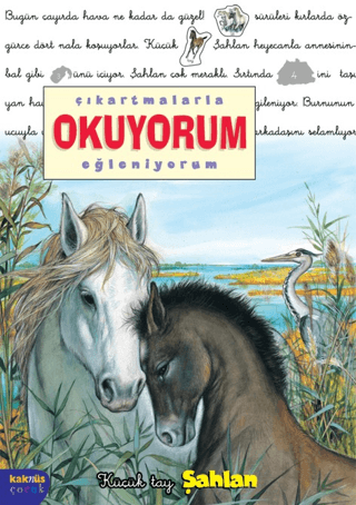 Çıkartmalarla Okuyorum Eğleniyorum -Küçük Tay Şahlan