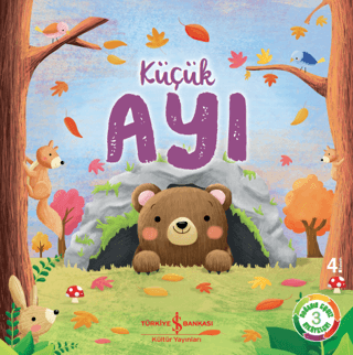 Küçük Ayı