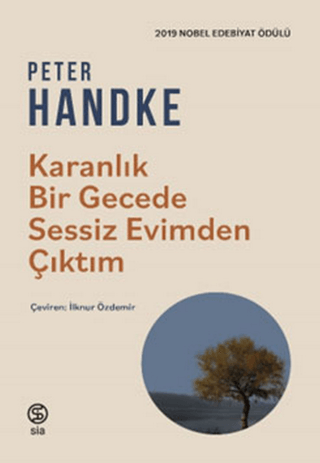 Karanlık Bir Gecede Sessiz Evimden Çıktım