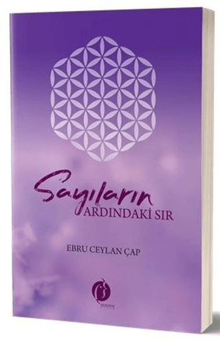 Sayıların Ardındaki Sır