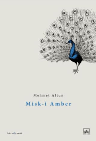 Misk-i Amber