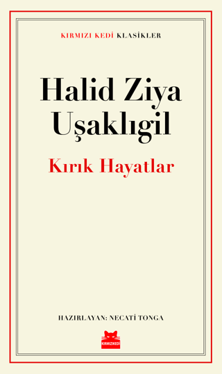 Kırık Hayatlar
