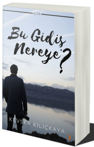 Bu Gidiş Nereye?