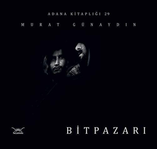 Bit Pazarı