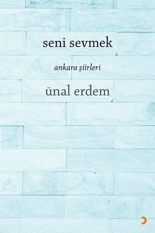 Seni Sevmek
