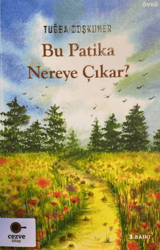 Bu Patika Nereye Çıkar?