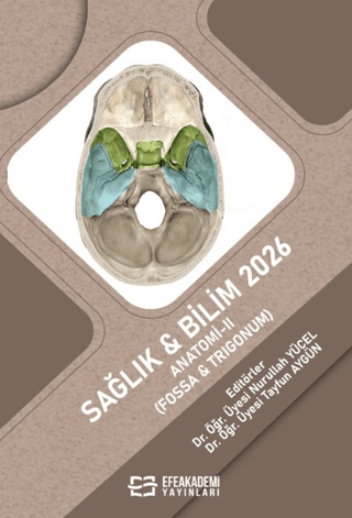 Sağlık & Bilim 2026: Anatomi 2 (Fossa & Trigonum)