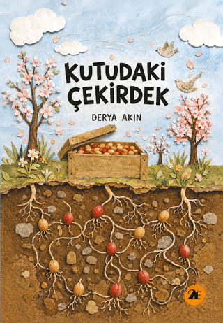 Kutudaki Çekirdek