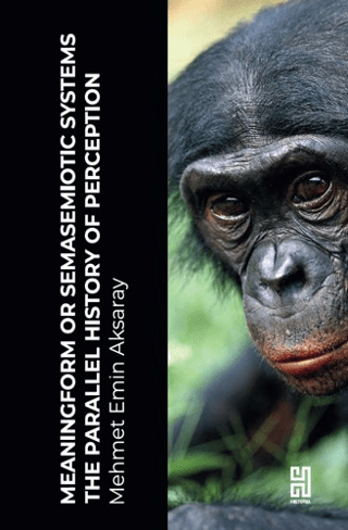 Meaningform or Semasemiotic Systems: The Parallel History of Perception