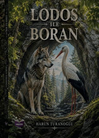 Lodos ile Boran