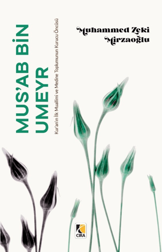 Mus’ab Bin Umeyr