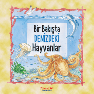 Bir Bakışta Denizdeki Hayvanlar