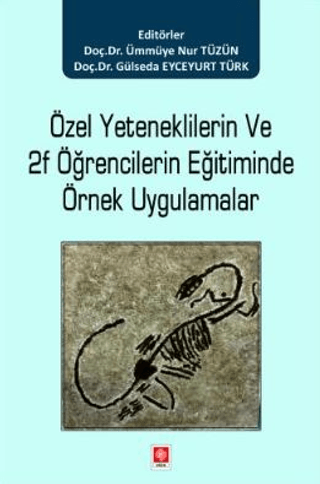Özel Yeteneklilerin ve 2F Öğrencilerin Eğitiminde Örnek Uygulamalar