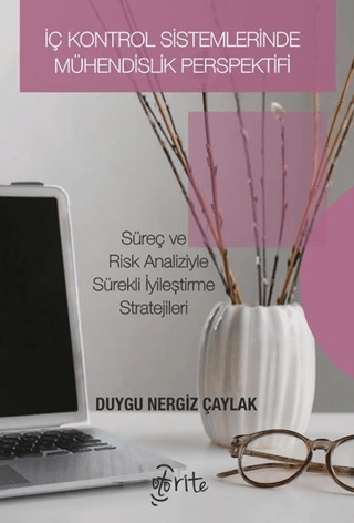 İç Kontrol Sistemlerinde Mühendislik Perspektifi