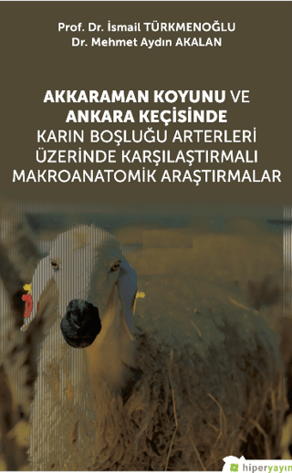 Akkaraman Koyunu ve Ankara Keçisinde Karın Boşluğu Arterleri Üzerinde Karşılaştırmalı Makroanatomik Araştırmalar