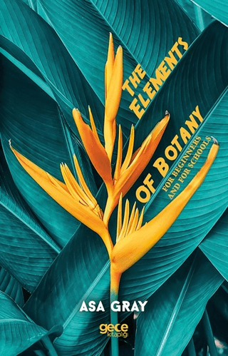 The Elements of Botany